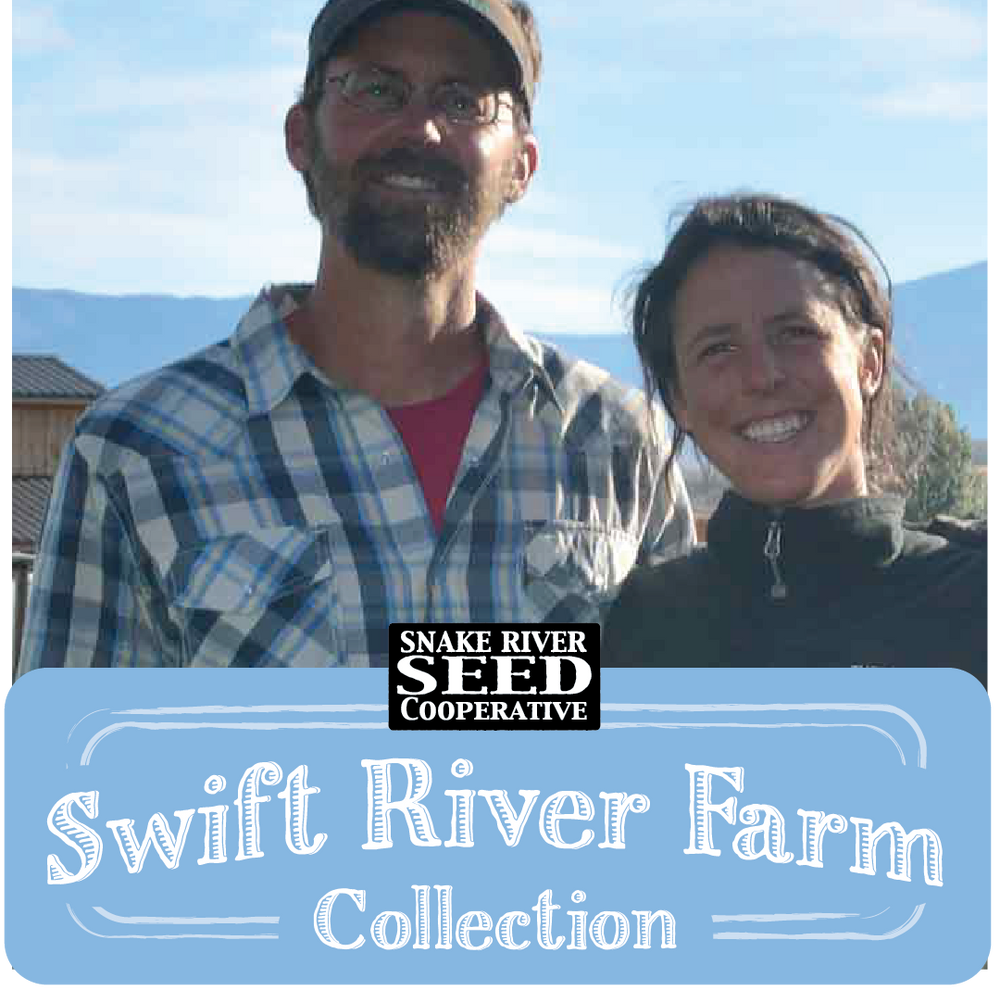 Cress, Broadleaf Garden – Snake River Seed Cooperative