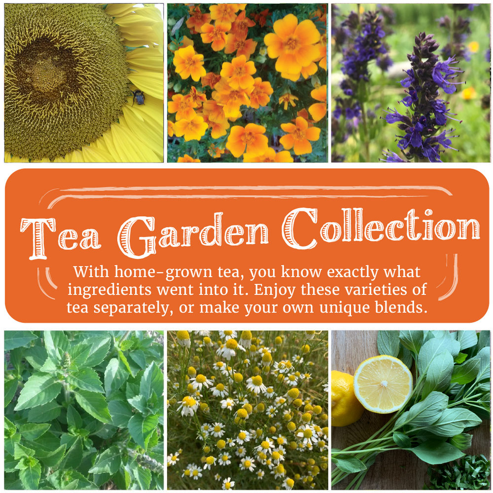 Tea Garden Seed Collection
