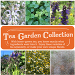 Tea Garden Seed Collection