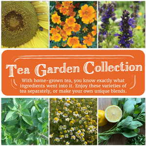
            
                Load image into Gallery viewer, Tea Garden Seed Collection
            
        
