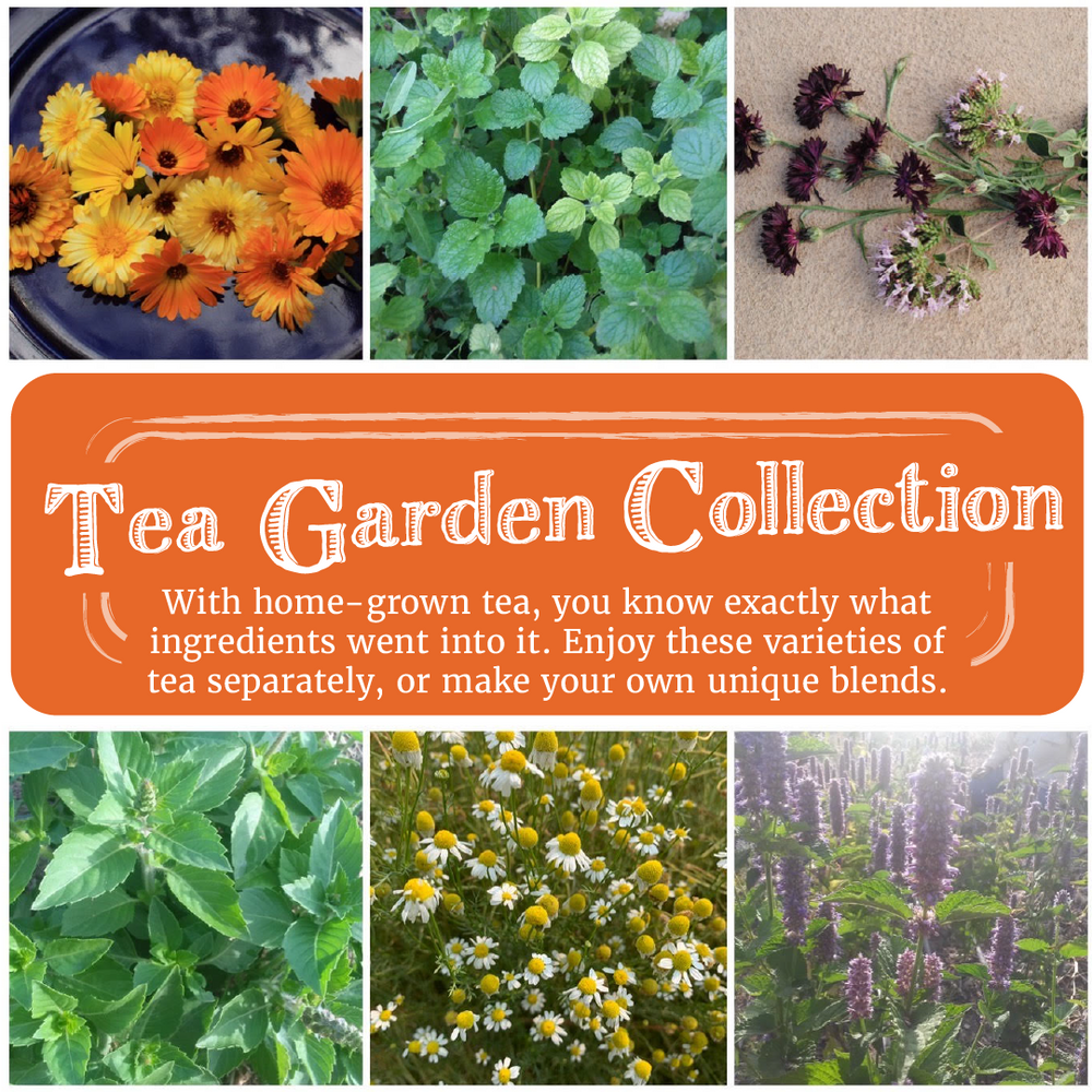 Tea Garden Collection