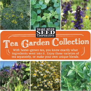 medicinal herb garden seeds Tea Garden Seed Collection – Snake River Seed Cooperative