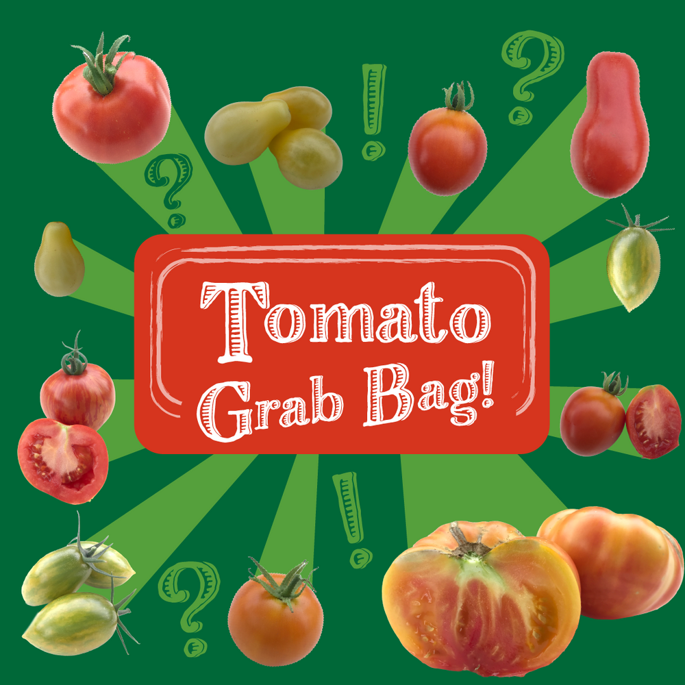 Tomato Grab Bag Collection