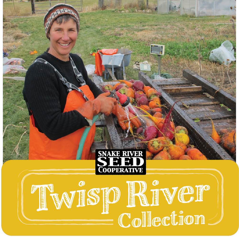 Twisp River Seed Collection