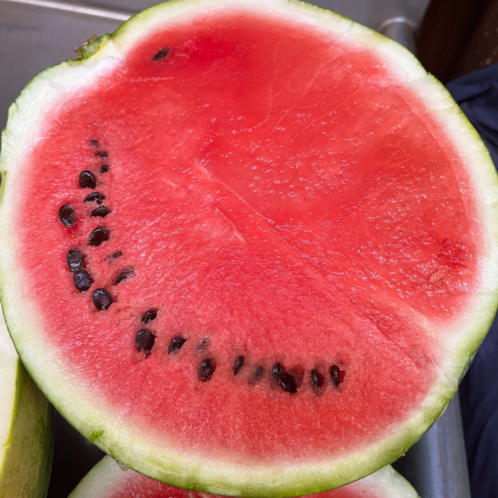 Watermelon, Love's Baby Bump