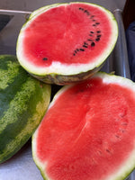 Watermelon, Love's Baby Bump