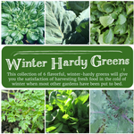 Winter Hardy Greens Seed Collection