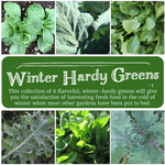 Winter Hardy Greens Seed Collection