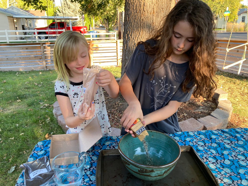 Wildflower Seed Ball Kit