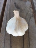 Garlic, Bulgarian Beauty Softneck