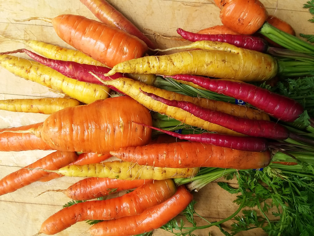 Carrot, Rainbow Mix For Human Rights!