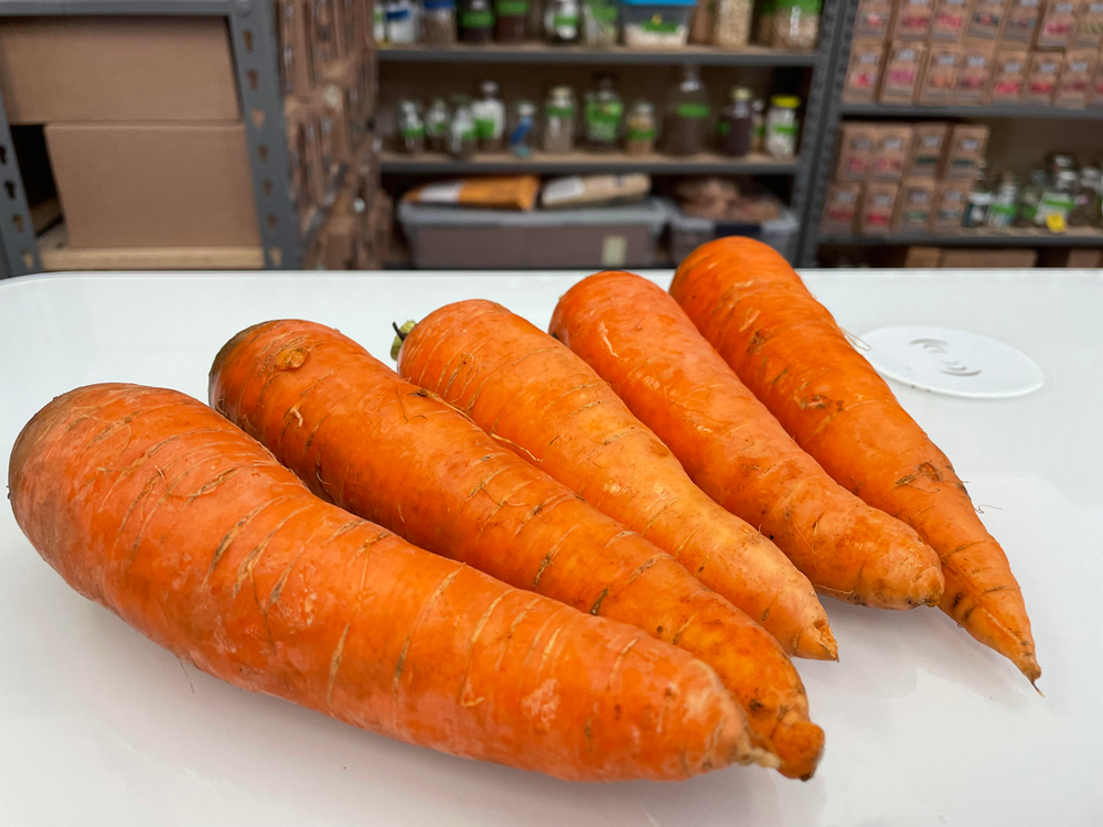 Carrot, Dulcinea