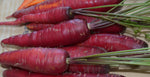 Carrot, Rouge Sang Violette