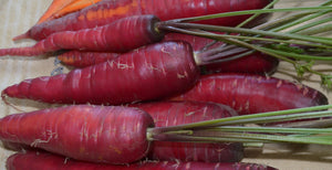
            
                Load image into Gallery viewer, Carrot, Rouge Sang Violette
            
        