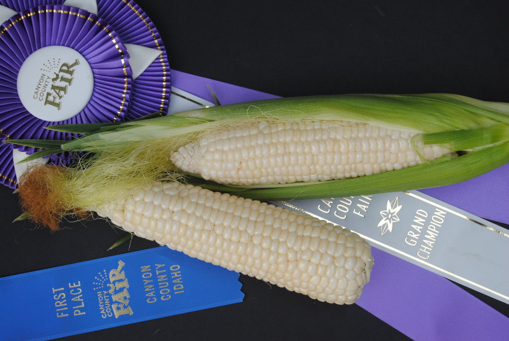 Corn-Tuxana-Sweet_1024x.jpg?v=