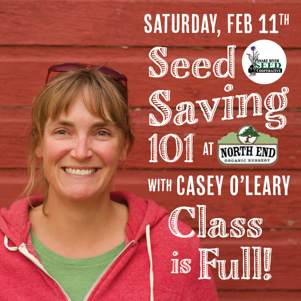 Seed School Registration