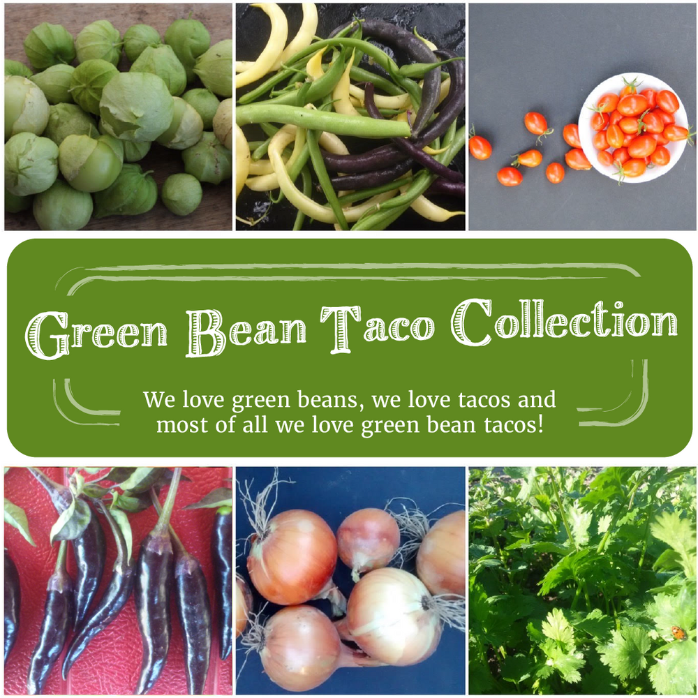 
            
                Load image into Gallery viewer, Green Bean Taco Seed Collection
            
        