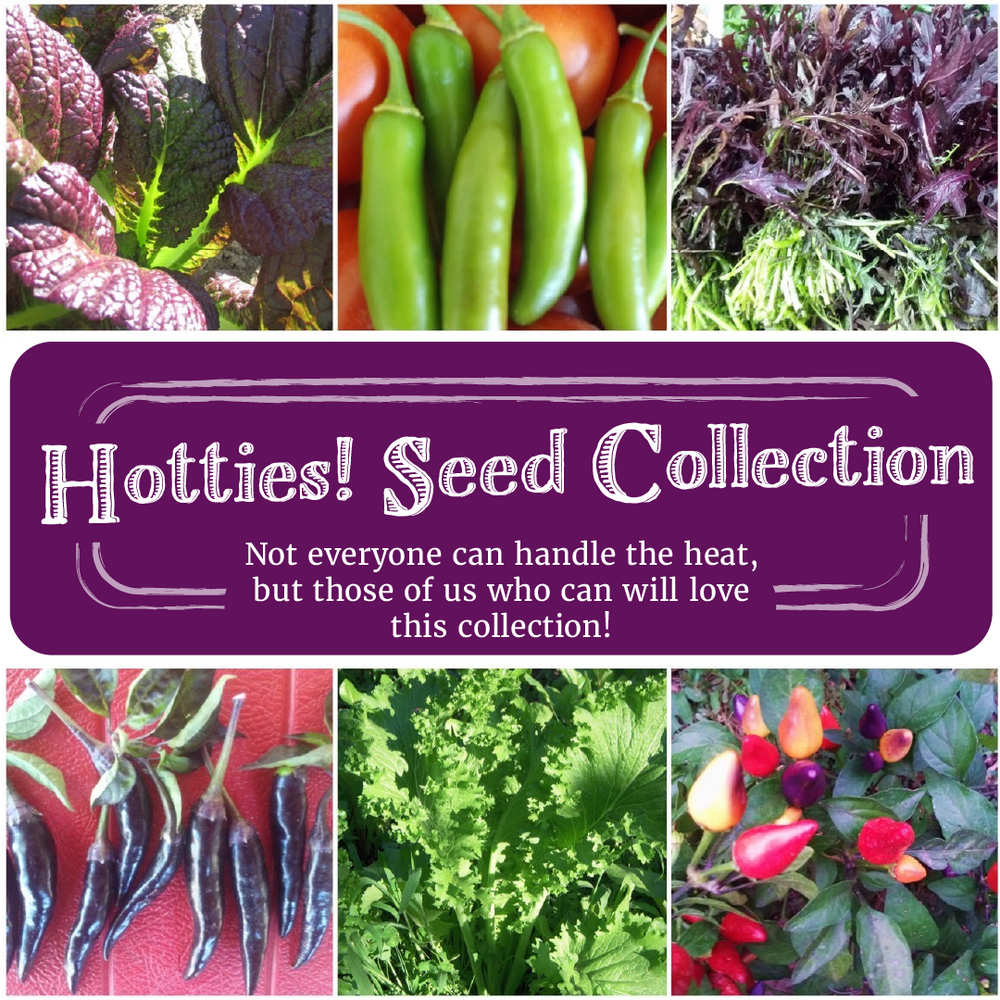 Hotties! Seed Collection