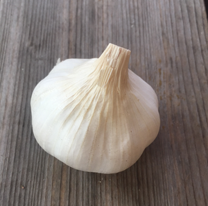 Garlic, Inchelium Red Softneck