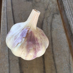 Garlic, Kingsland Softneck