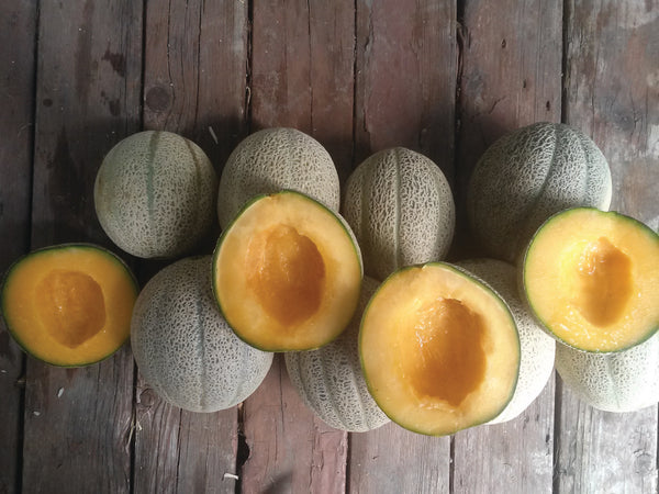 Melon-Hearts-of-Gold-CMYK-
