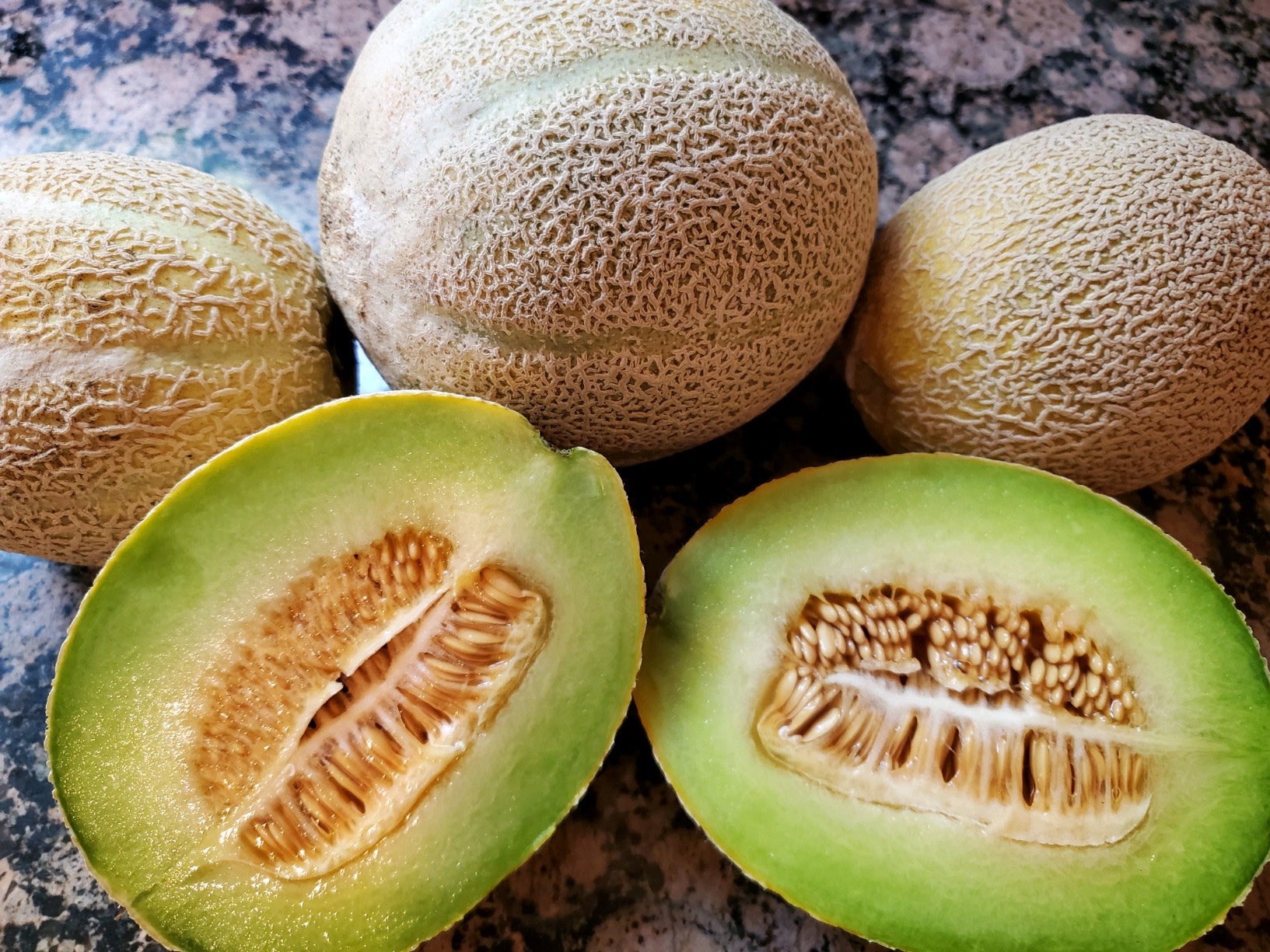 Melon, Green Nutmeg Snake River Seed Cooperative