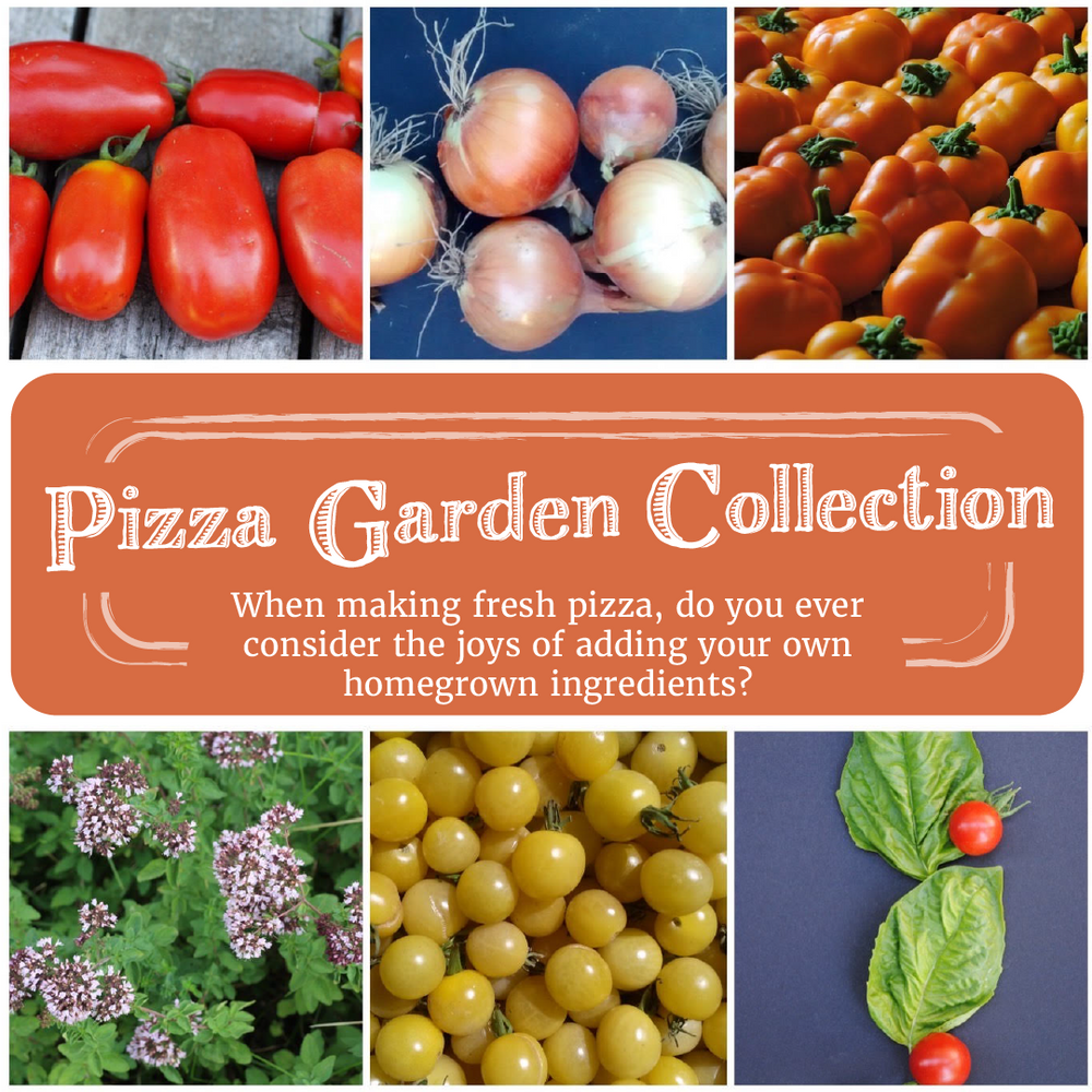 Pizza Garden Gift Collection