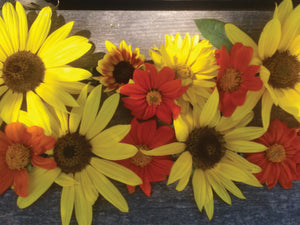 
            
                Load image into Gallery viewer, Sunflower, Sunny Days Mix
            
        