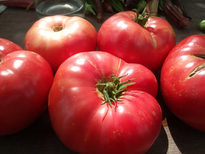 Tomato, Pink Brandywine – Giving Ground Seeds