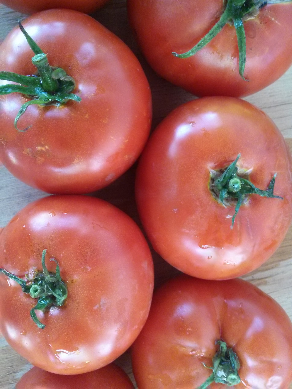 Tomato-Moscow-Idaho_1024x.jpg?