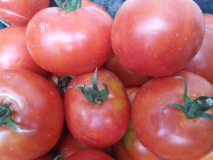 Tomato, Sasha's Altai