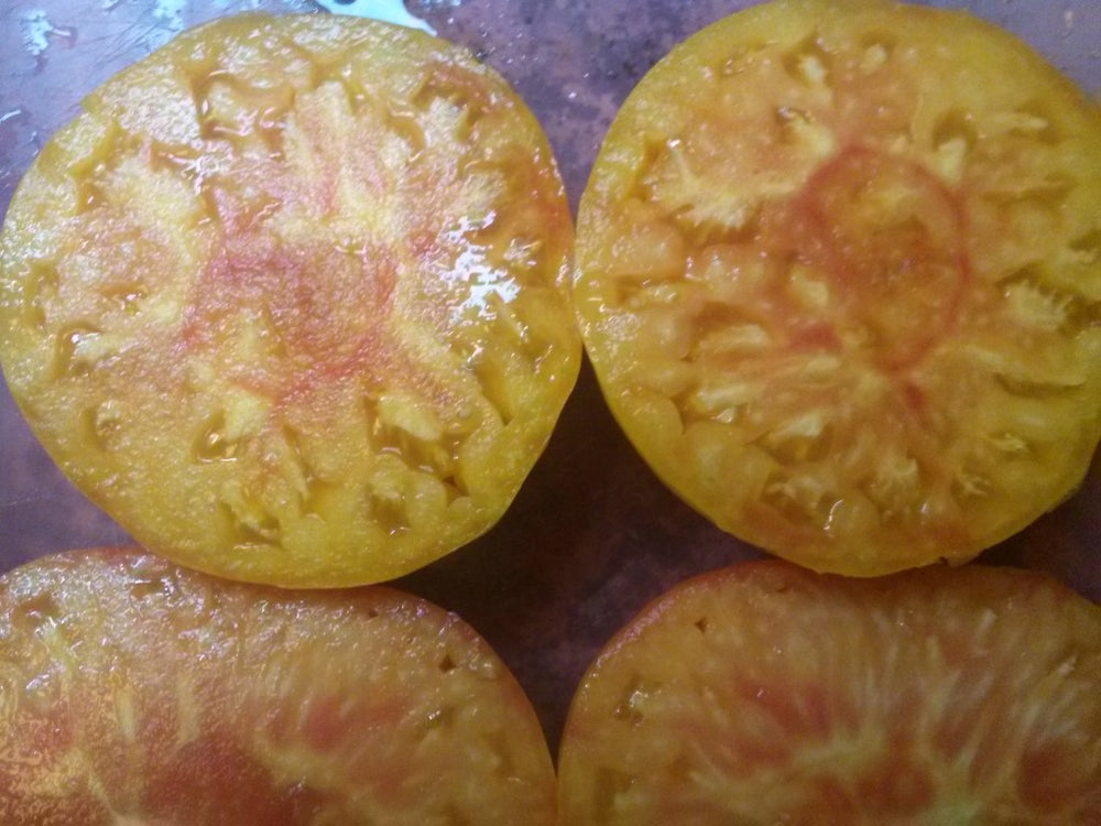Tomato, Gold Medal