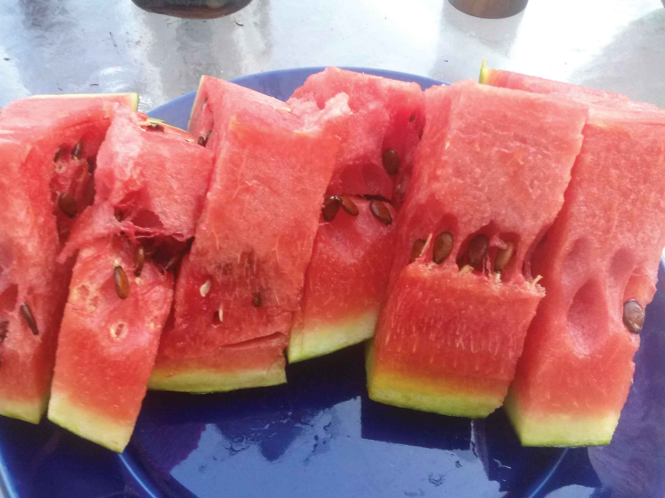 Watermelon, Earthly Delights – Snake River Seed Cooperative