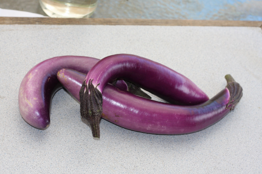 Eggplant, Ping Tung Long