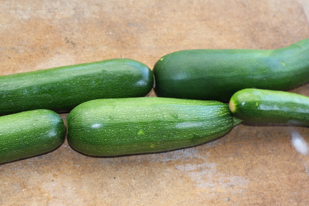 
            
                Load image into Gallery viewer, Zucchini, Black Beauty
            
        